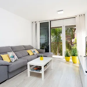 Monkey House Санта-Крус-де-Тенерифе